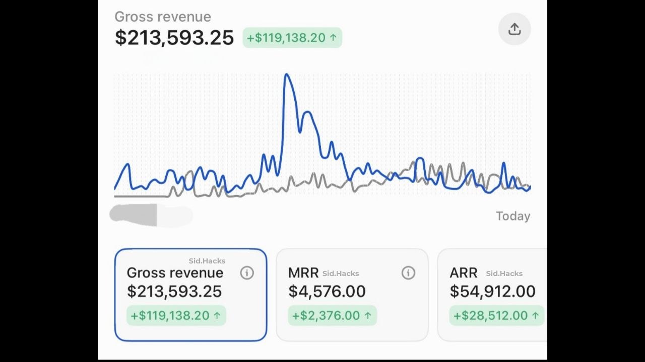 Turned digital products into a six-figure business generating over $213K in sales.
